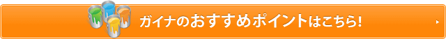 ガイナのおすすめポイントはこちら！