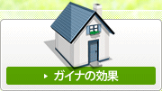 ガイナの効果