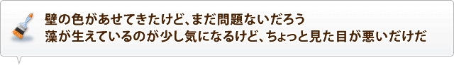 壁の色があせてきたけど、まだ問題ないだろう　藻が生えているのが少し気になるけど、ちょっと見た目が悪いだけだ